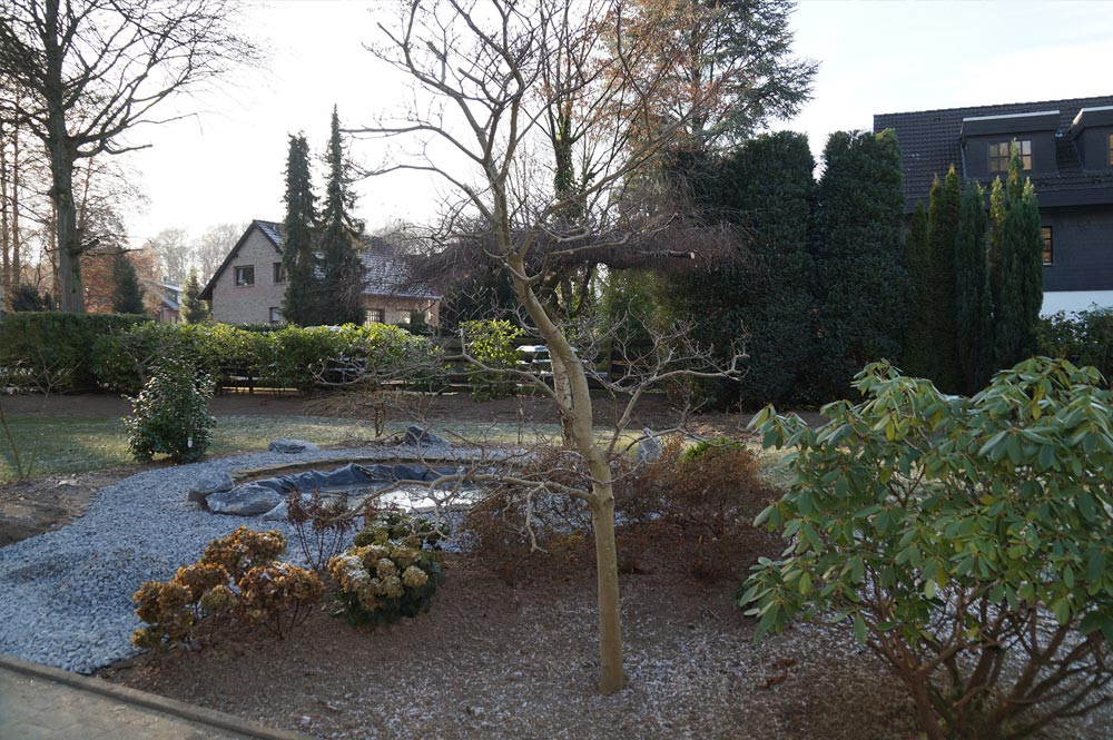 ref2-before